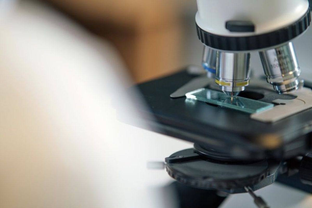 BPDP Opens 2026 Research Grant Programme to Boost Plantation Innovation