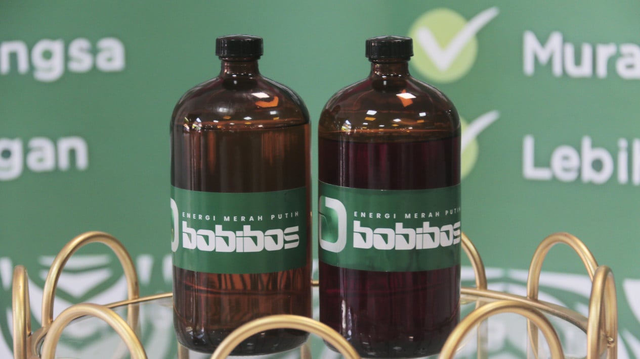 ESDM Requests Official Testing and Licensing for Bobibos Before Market Entry