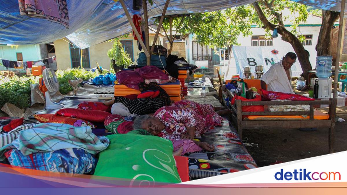 Aid Continues to Arrive for Victims of Flores Timur Earthquake