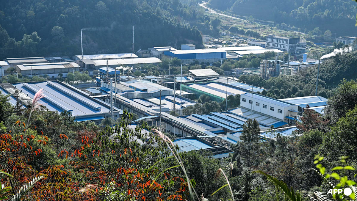 EU firms rethinking China operations over rare earths curbs: Lobby