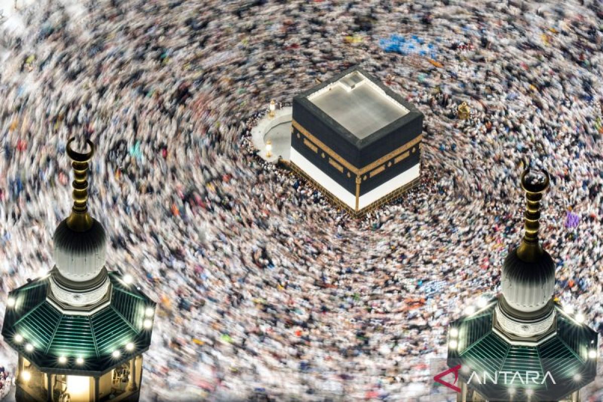 MP Criticises Hajj "War Ticket" Proposal