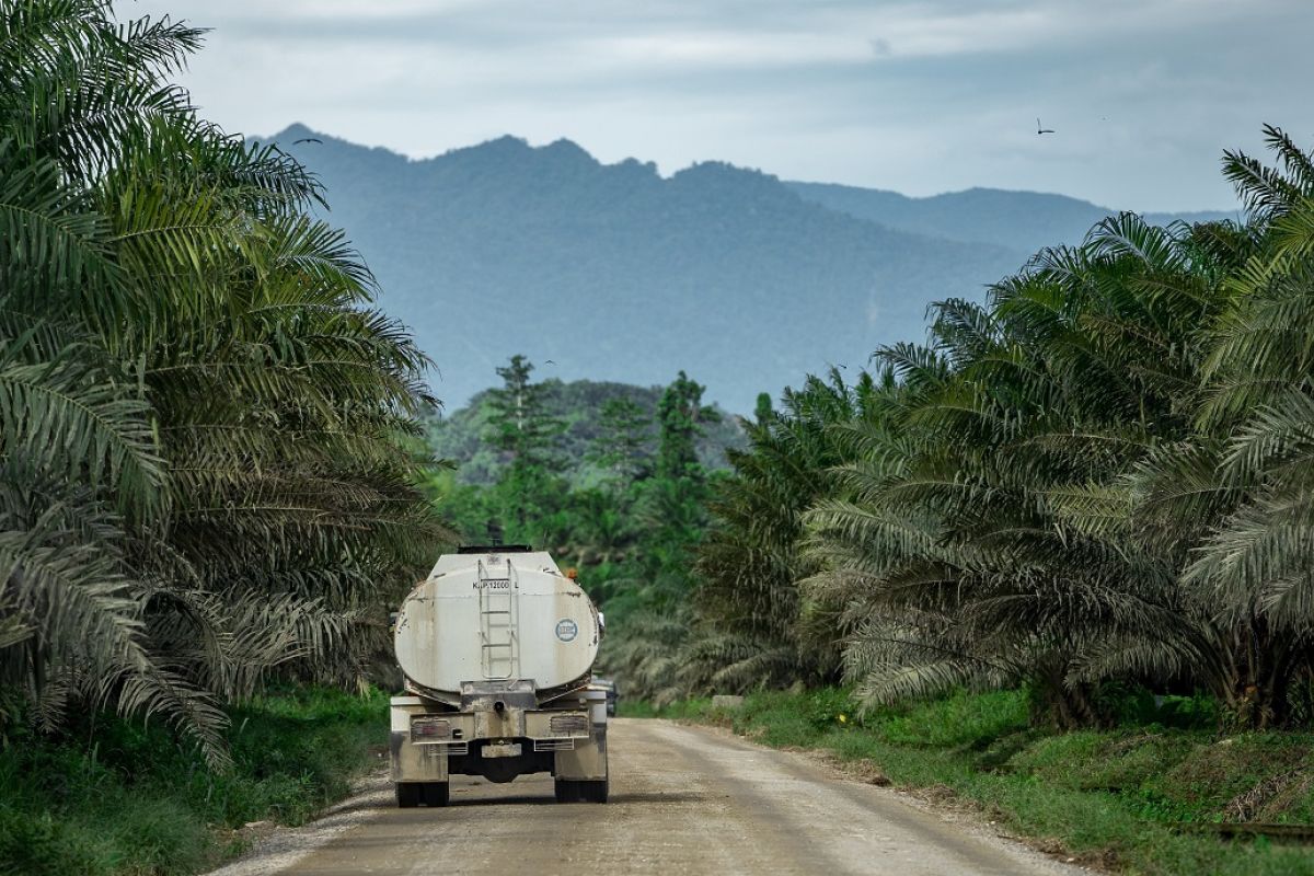 Academics say biodiesel programme effectively reduces fuel oil imports