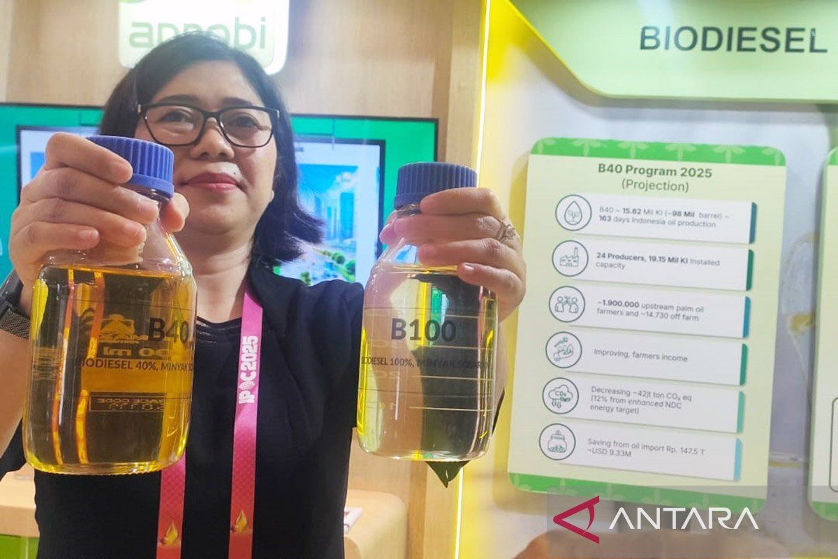 Biofuel: The Answer to the Fragility of National Fossil Energy