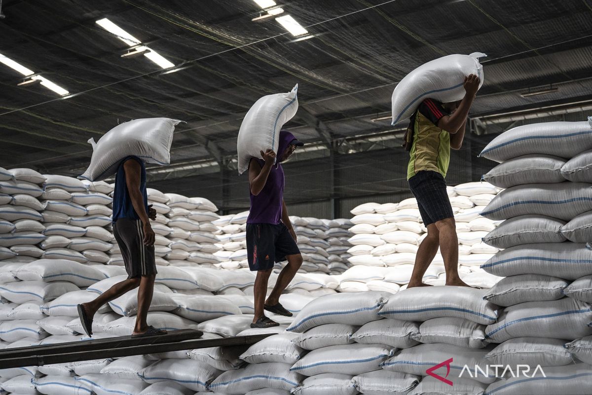 Indonesia's Bulog eyes export opportunity from Malaysia rice request