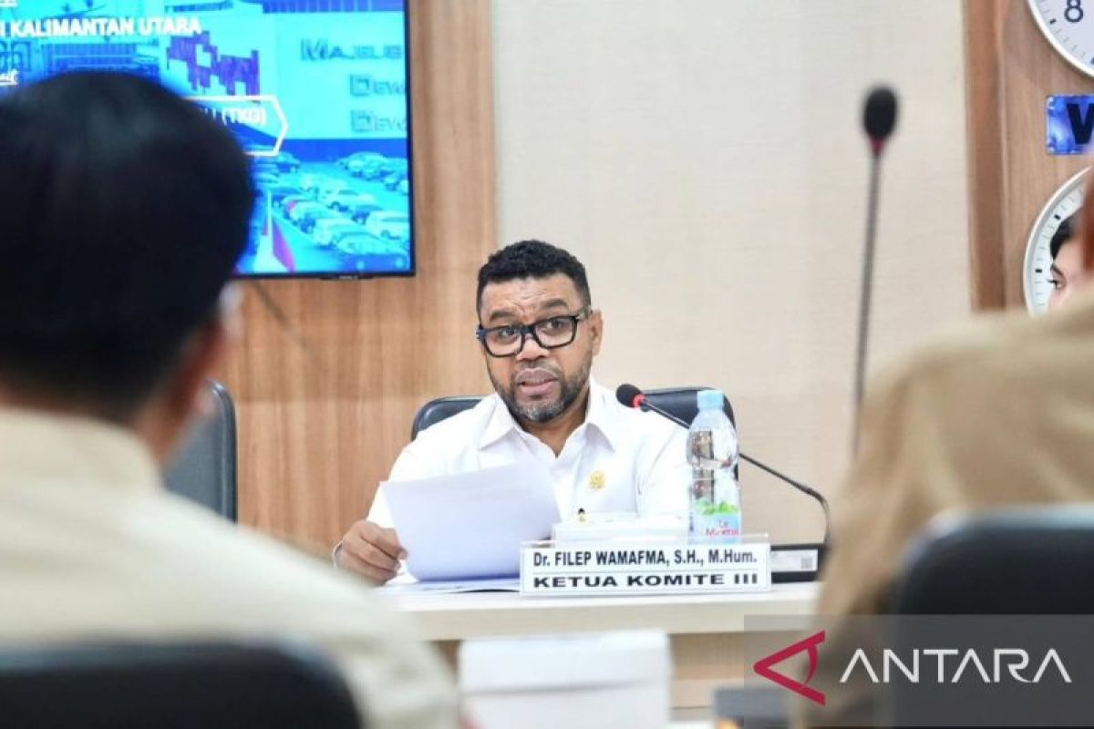 DPD RI proposes limited meeting with TNI and Police chiefs to discuss protection for healthcare workers in Papua