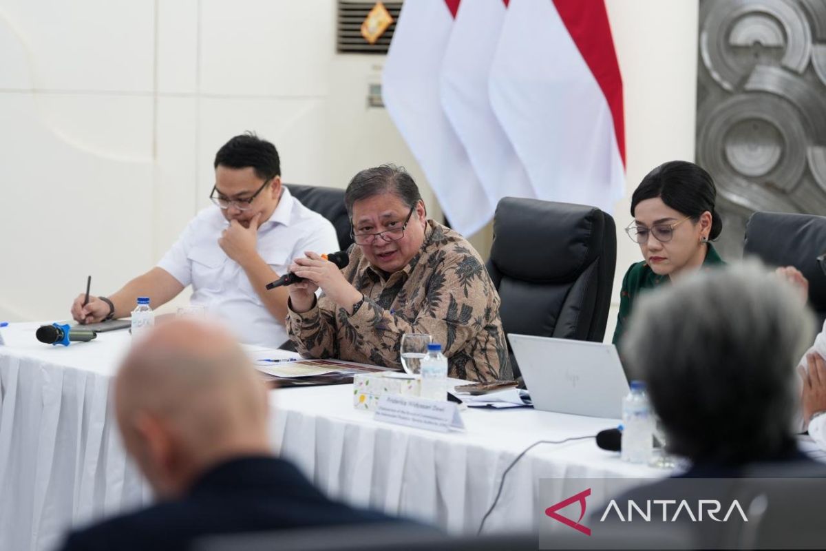 Indonesia's economy remains resilient amid global challenges: Minister