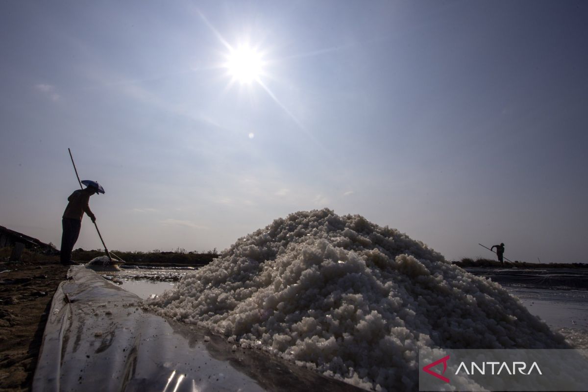 BMKG: 66 percent of West Java regions to be surrounded by early dry season