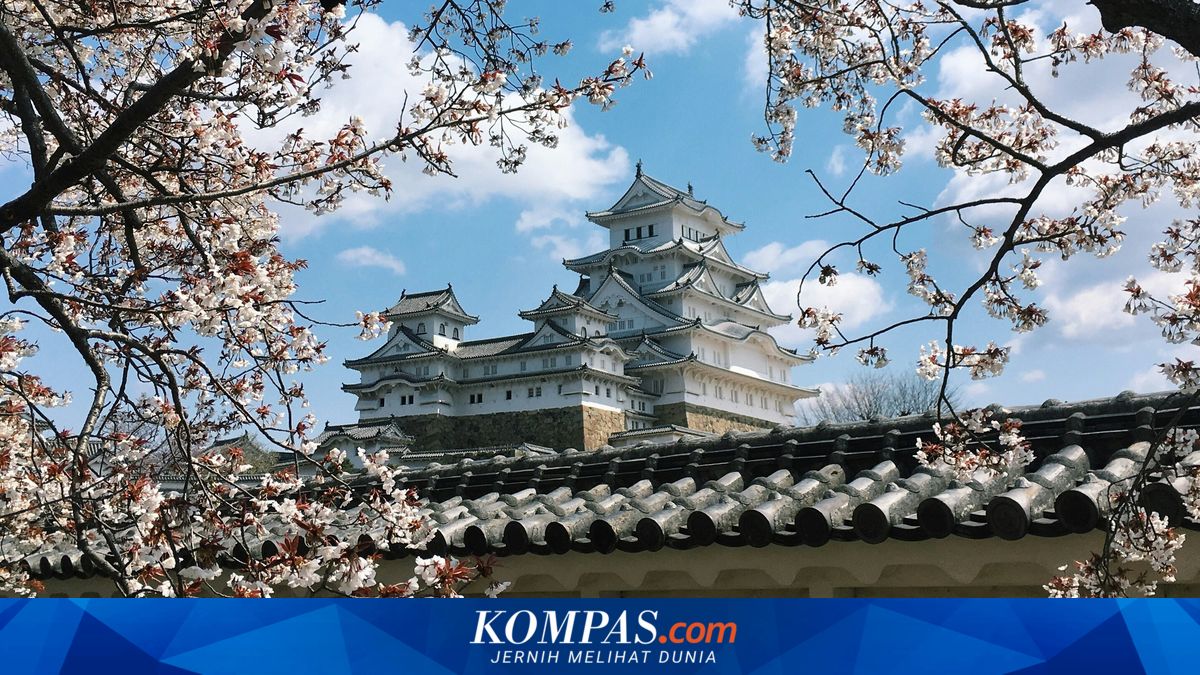 Japan Triples Tax on Foreign Tourists Starting July 2026