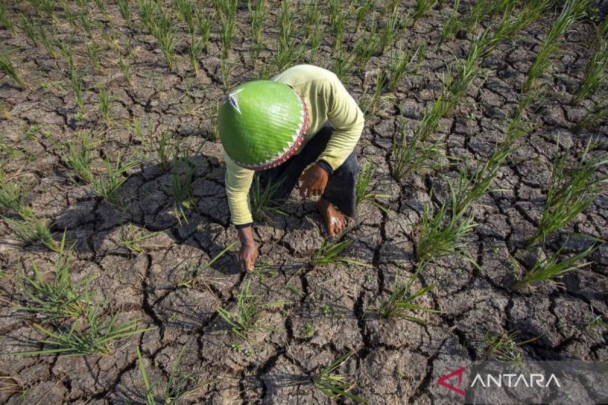 Indonesia's 2026 dry season expected to intensify