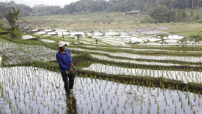 New Economic Opportunities from Agriculture: Deputy Minister Prepares New Regulations