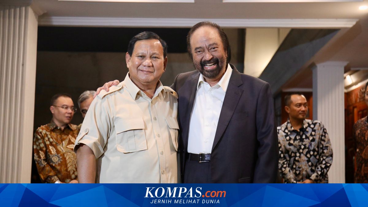 NasDem Politician Deems Merger Issue with Gerindra Logically Flawed