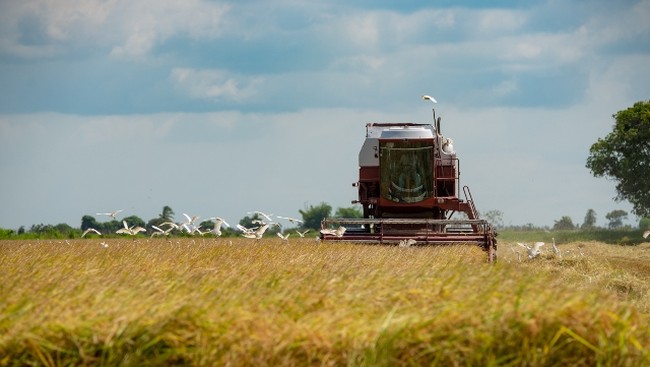 Food Independence Achieved! This Country Doesn't Need Aid from China or America