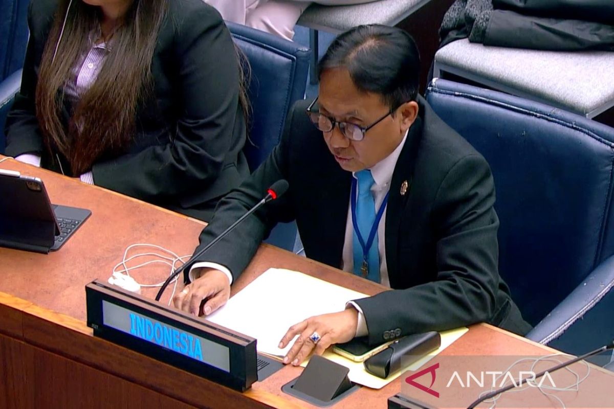 Indonesia affirms strategic role in global population agenda at UN