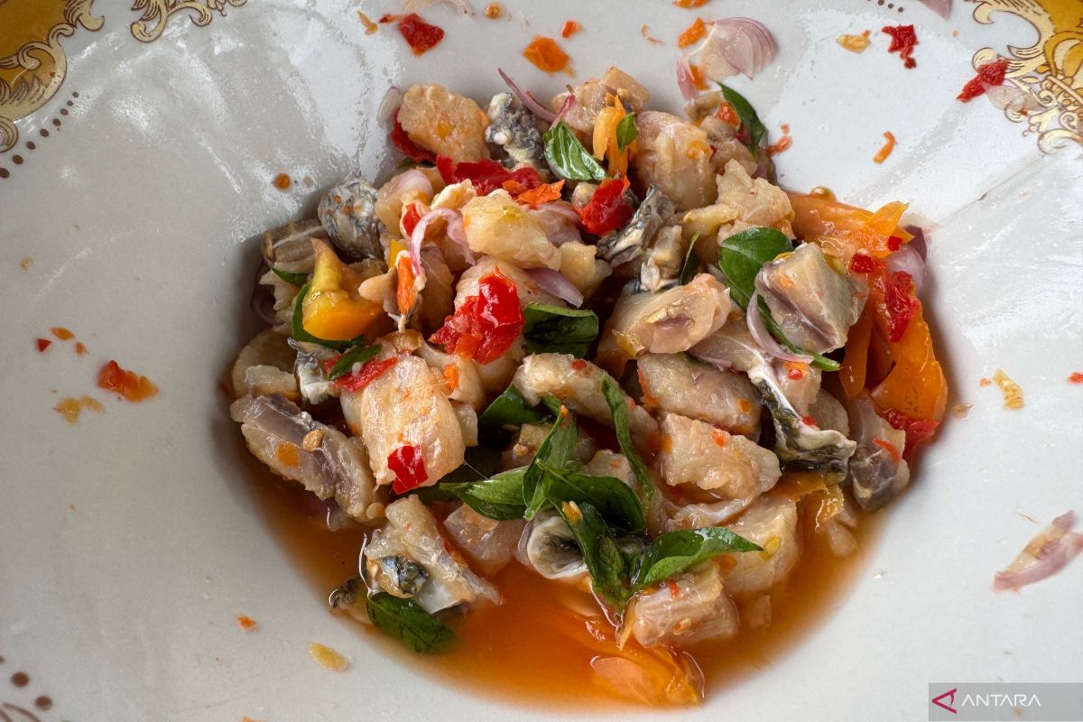 The Salty Sashimi of the Banda Sea: A Journey Through Inasua History