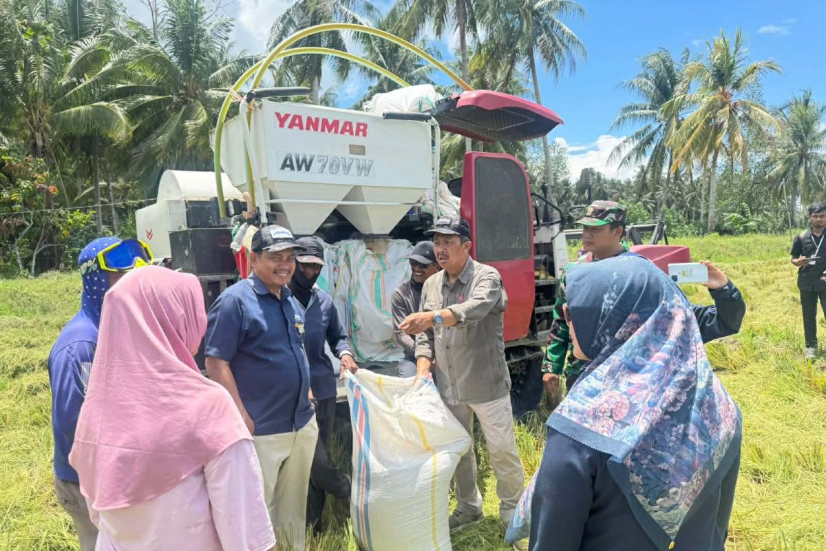 Bulog Procurement Director Urges Farmers to Maintain Paddy Quality