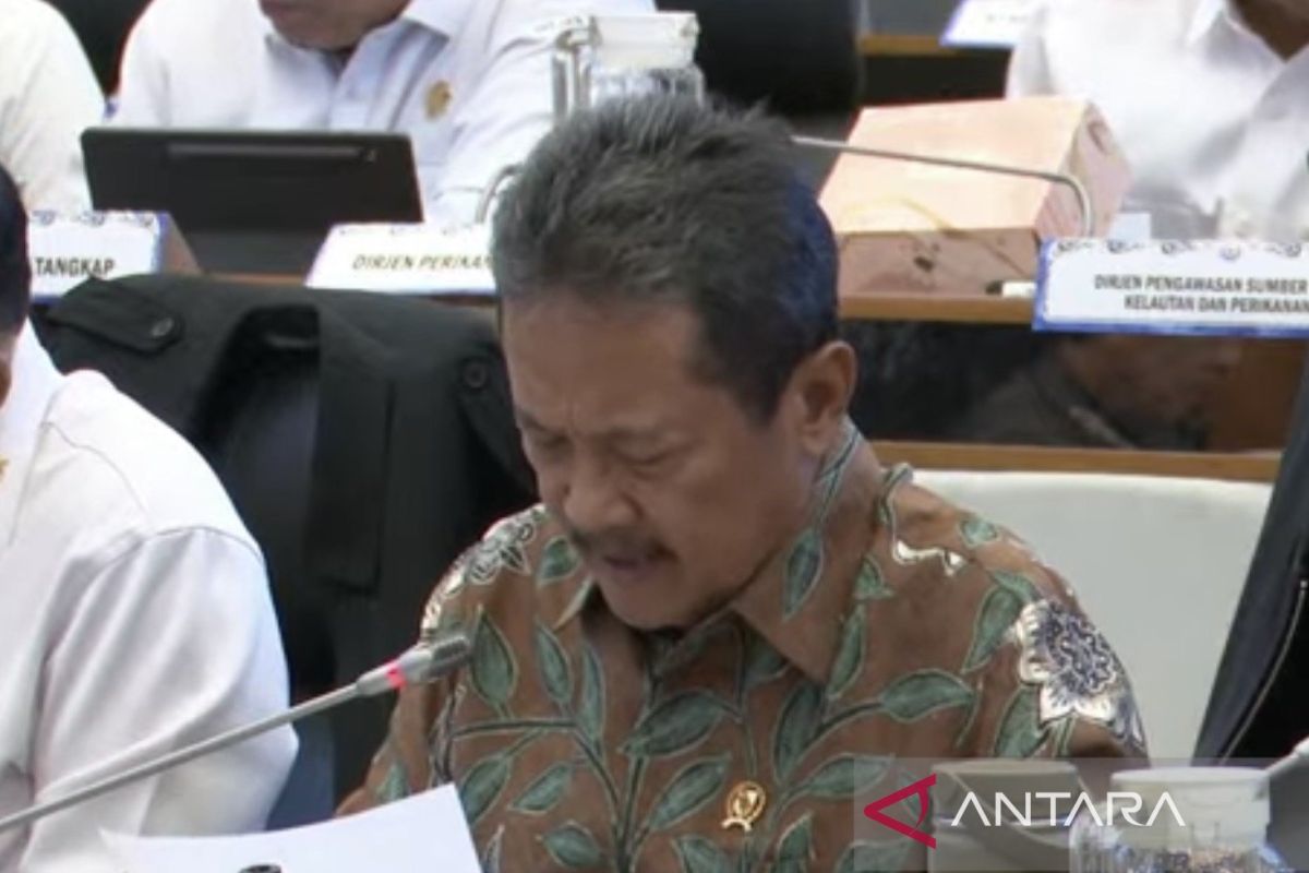 Indonesia fast-tracks blue carbon pricing programme