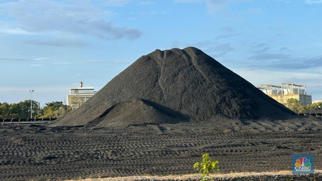 Coal Prices Plunge Again, China's Aid in Vain