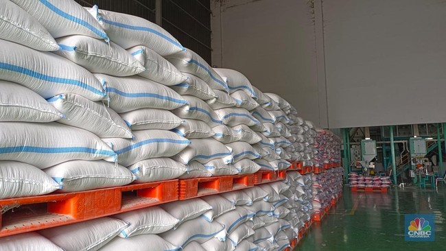 Record-Breaking! Government Rice Reserves at Bulog Reach 4.7 Million Tonnes