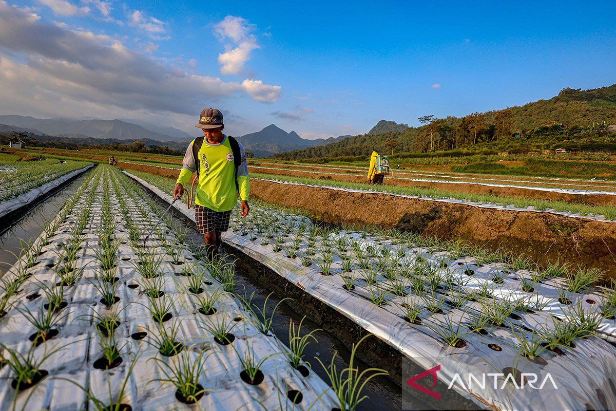 Expensive Plastic, Green Opportunity for the Food System