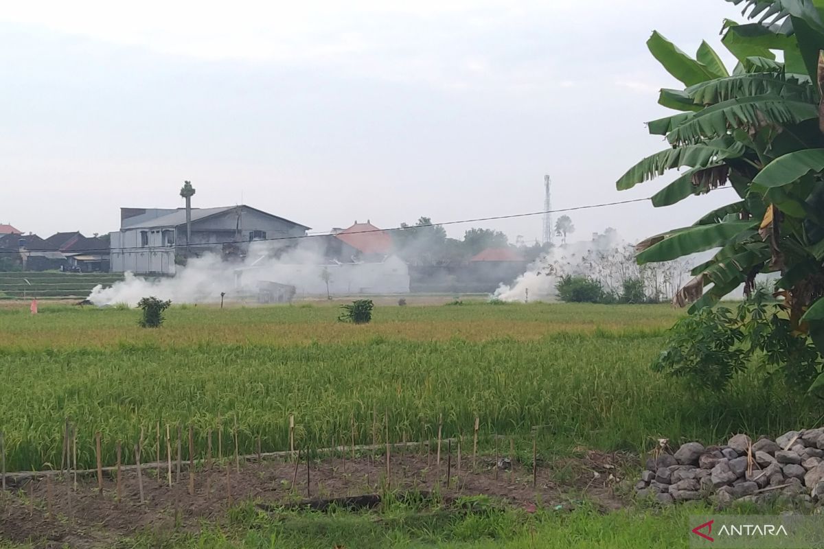 Bali Health Department warns of rubbish burning dangers to respiratory health