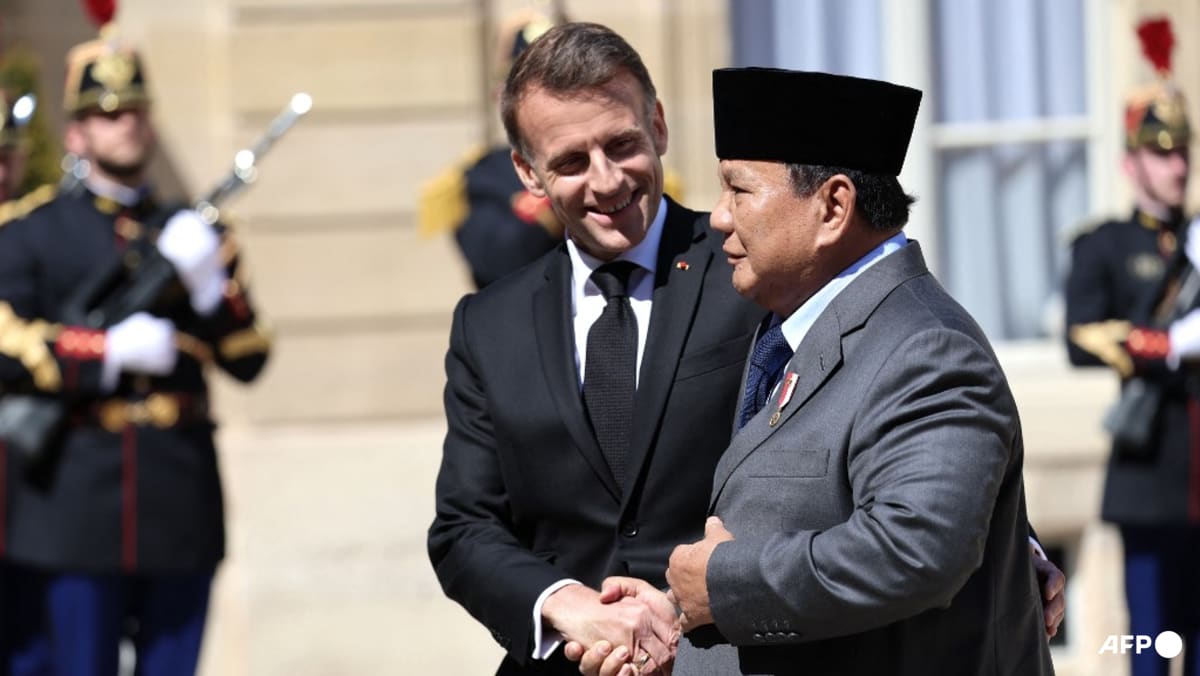 Indonesia and France Agree to Boost Defence Industry Ties
