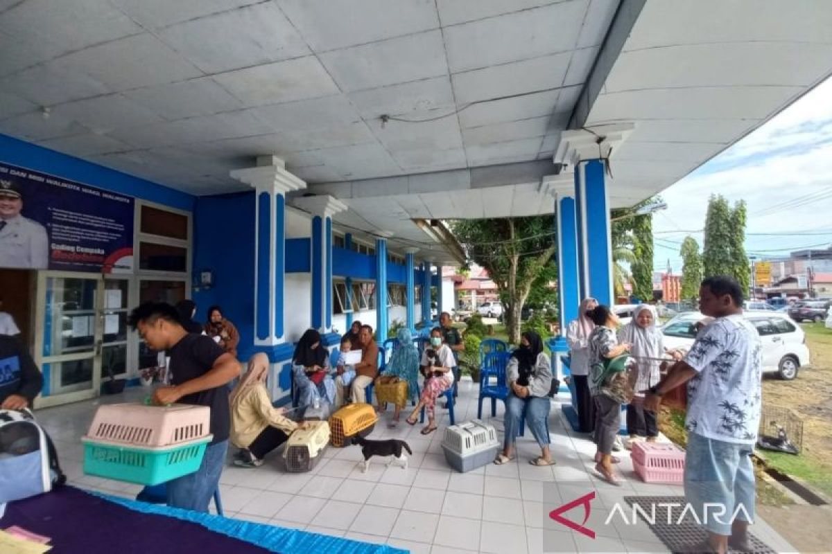 Bengkulu Provincial Government Distributes 2,000 Doses of Rabies Vaccine