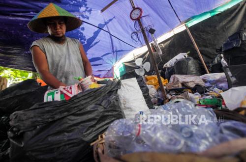 Plastic Prices Surge, Eco-Friendly Businesses Reap the Benefits
