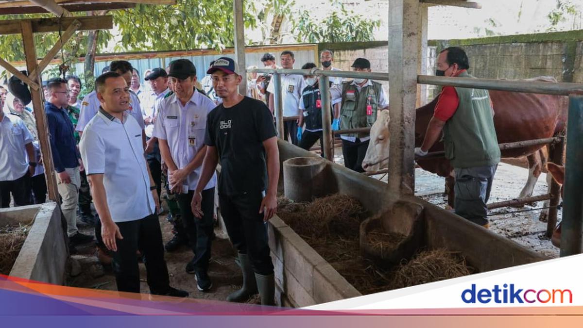 Ahmad Luthfi Reviews Mobile Animal Health Services Programme in Sragen