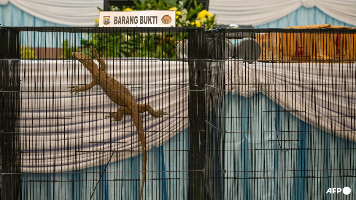 Indonesian police arrest six for Komodo dragon smuggling