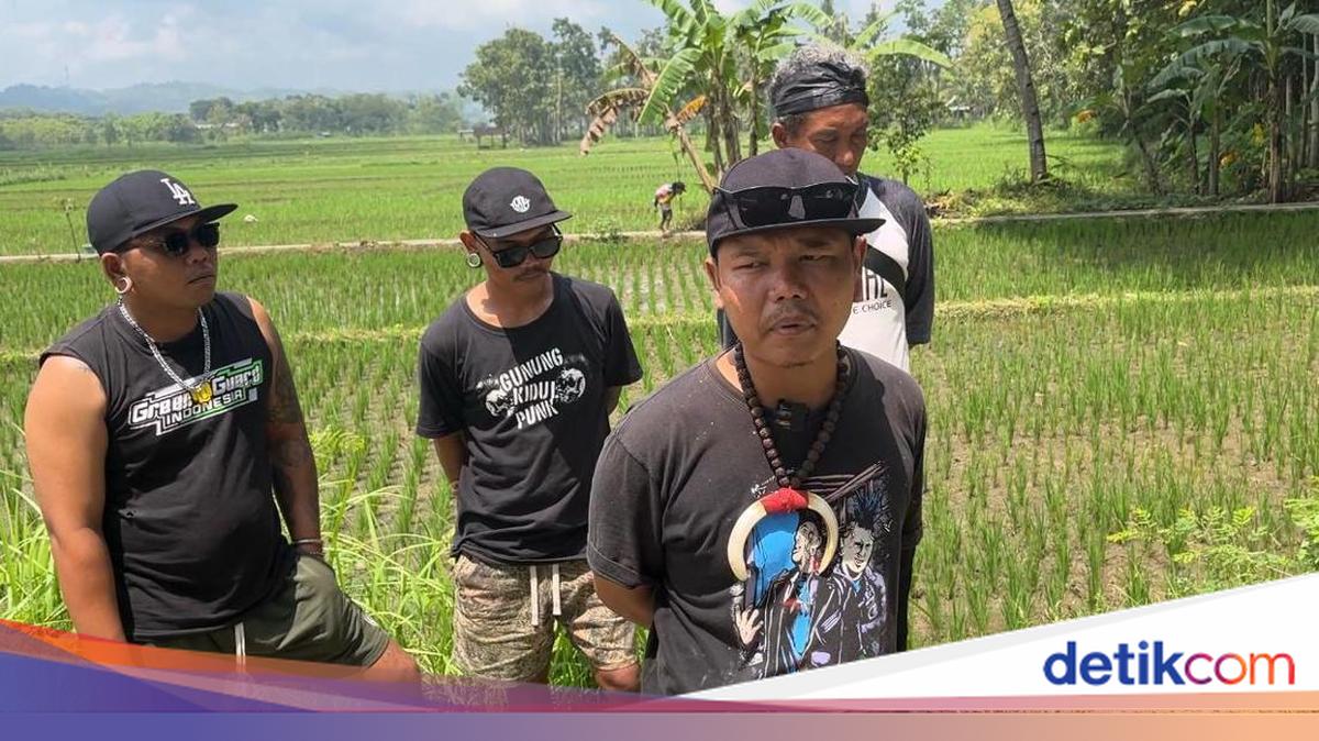 Impressive! Gunungkidul Punk Group Ventures into Rice Fields to Develop Organic Farming