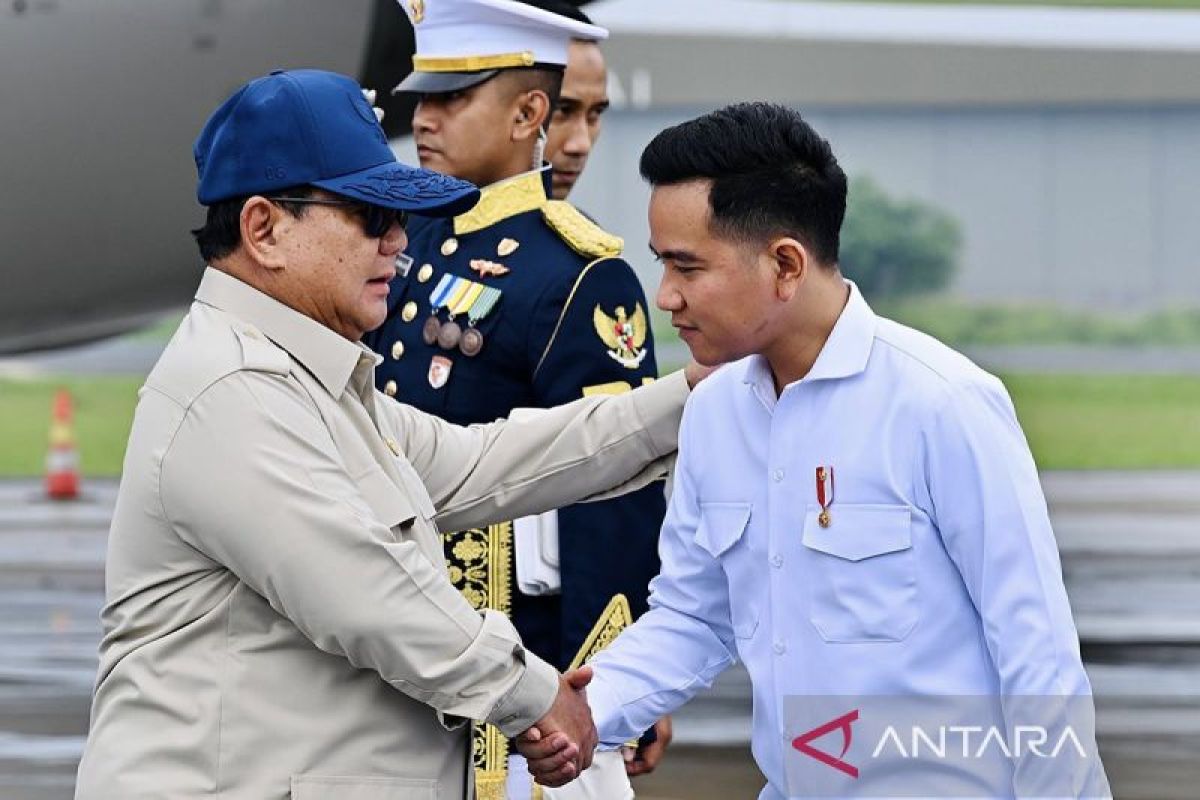 Vice President Welcomes President's Arrival After Completing European Visit