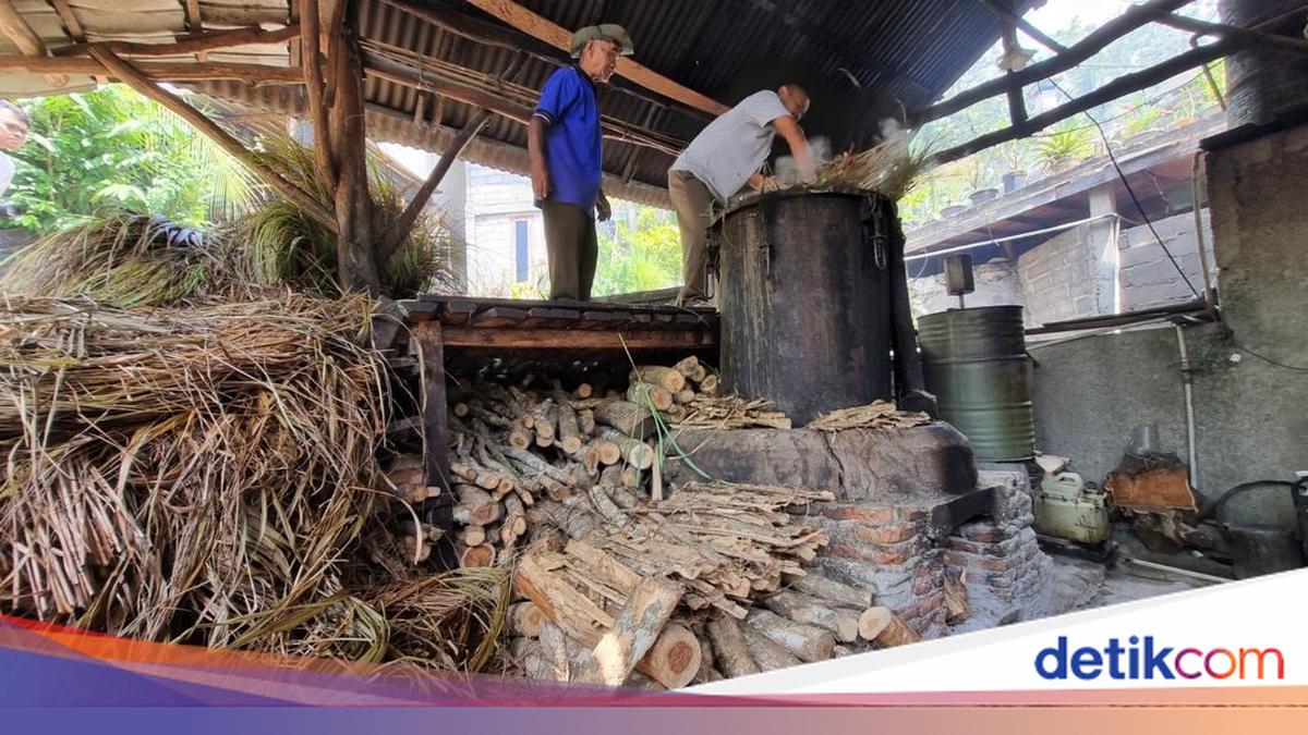 Creative! Dlingo Bantul Residents Transform Critical Land into Essential Oil Producer