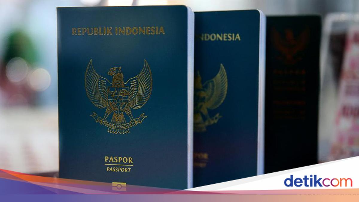 Passport Collection Can Be Delegated: Here Is the List of Required Documents