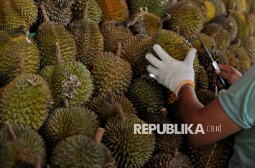 China's Demand Reaches Rp120 Trillion, Indonesian Durian Set for Major Share