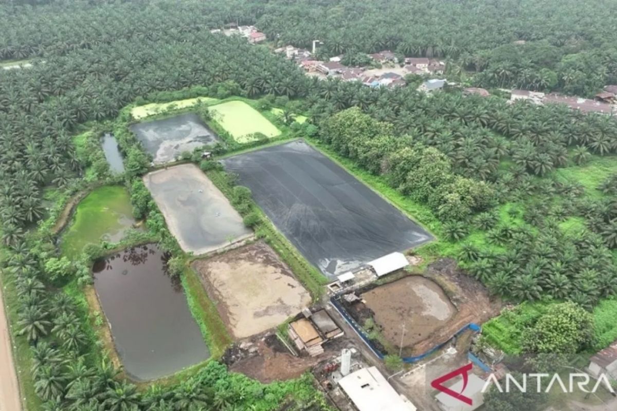 PTPN IV relies on two biogas power plants in Riau to reduce dependence on fossil energy