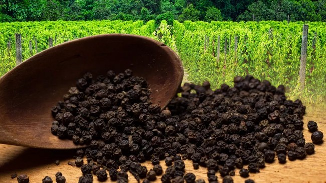 Sorry Indonesia! The Title of World's Pepper King Has Been Taken by Vietnam