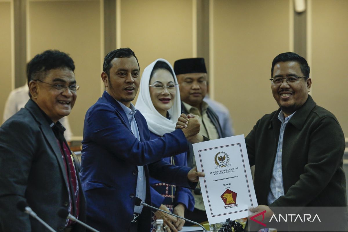 Legal expert: Term 'protection' encourages state to actively safeguard victims