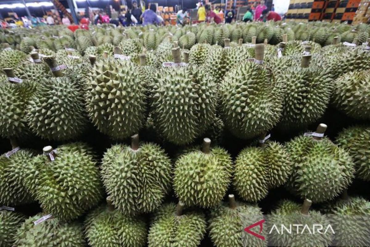 China-Laos Railway Offers Express Delivery for ASEAN Tropical Fruits