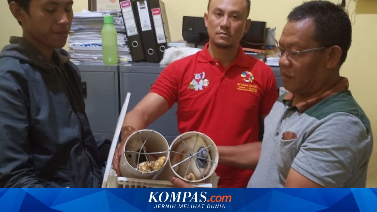 IPB University Expert: Illegal Wildlife Trade Triggers Risk of New Pandemic