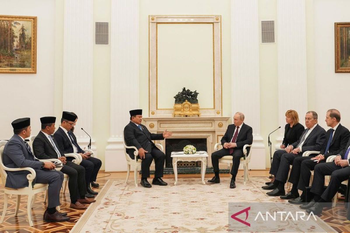 Expert views energy diplomacy as vital instrument in safeguarding national resilience