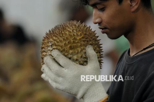 Secrets of Indonesian Durian Capturing China's Rp137 Trillion Market Revealed