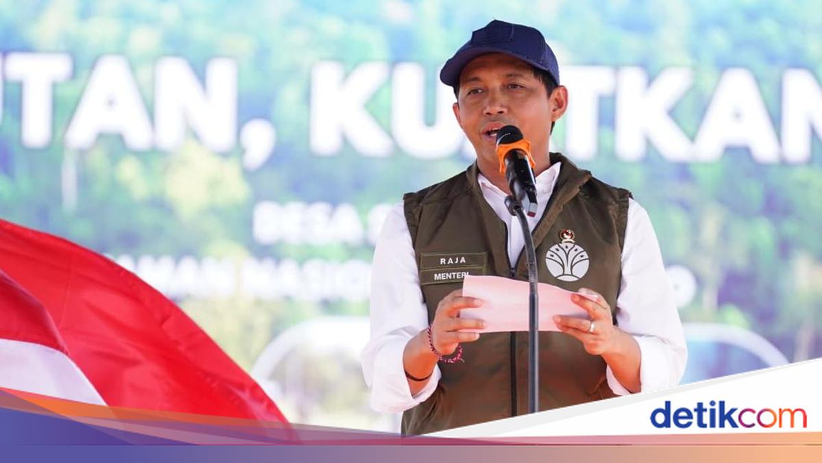 Forestry Minister Issues New Regulation on Carbon Trading, Here is Its Content
