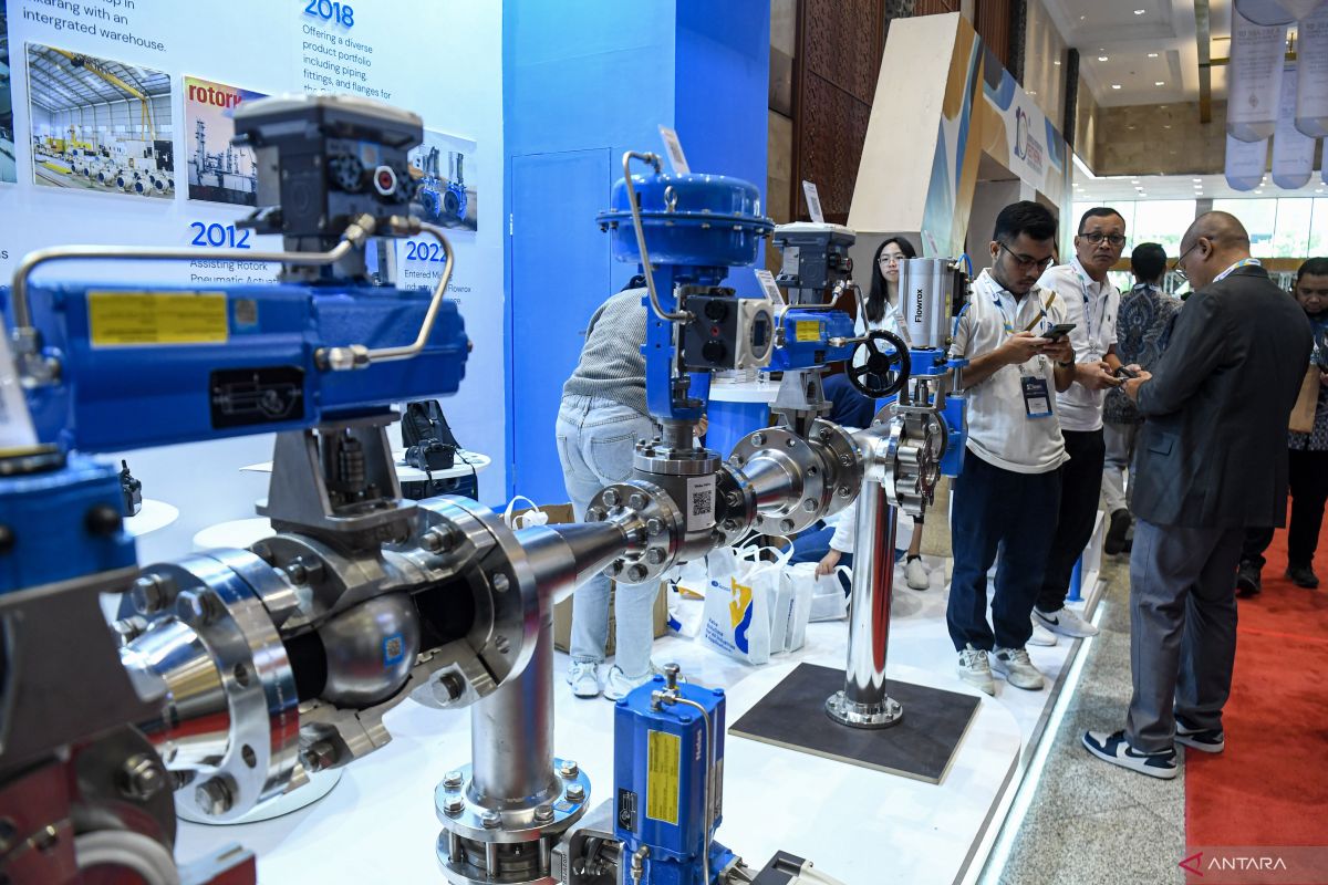 Unravelling Indonesia's Economic Pressures in 2026