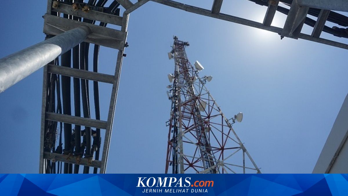 MTEL's 2025 Performance Records Growth, See Analyst Recommendations