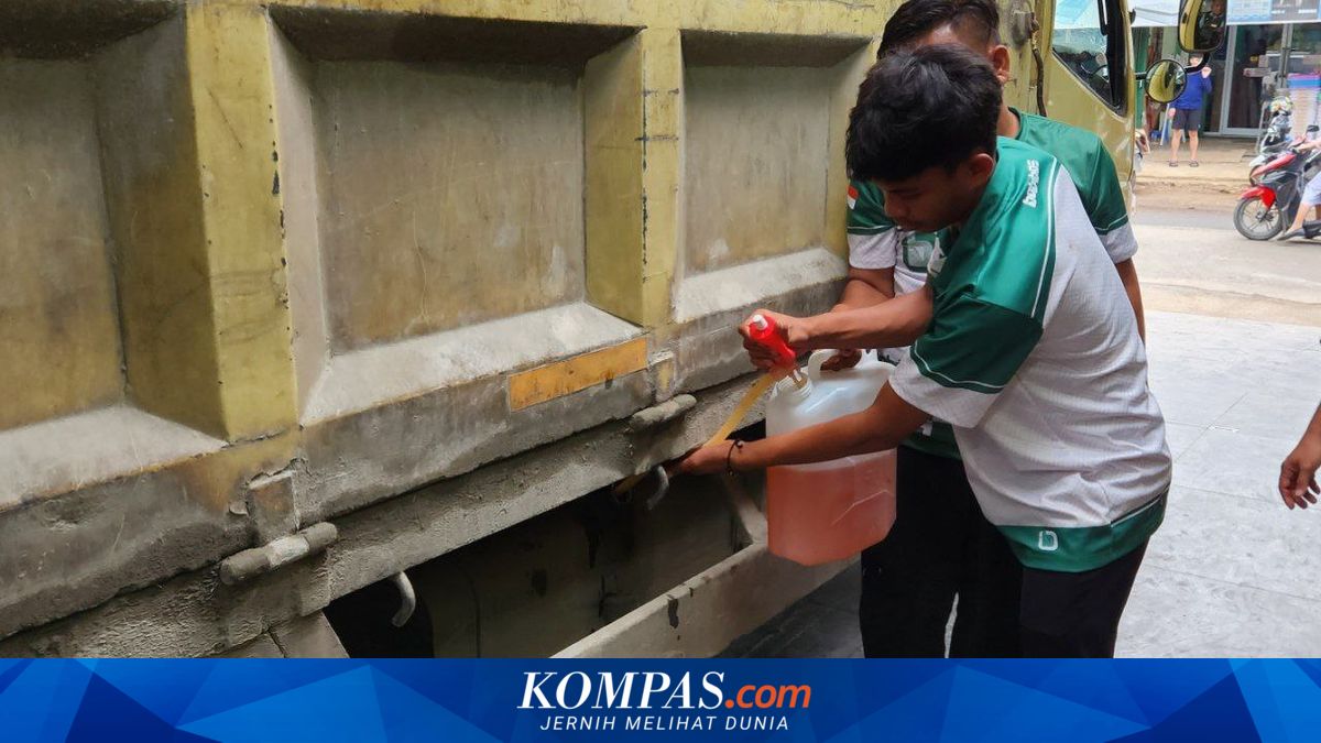 From Lab to Road: Bobibos Faces Motor Vehicle Testing Challenges