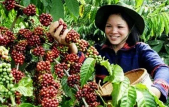 Agriculture Ministry Pushes Carbon-Based Economic Transformation