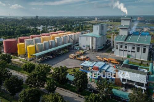 PLTBg Becomes PalmCo's Key Asset in Reducing Energy Costs Amid Global Turbulence