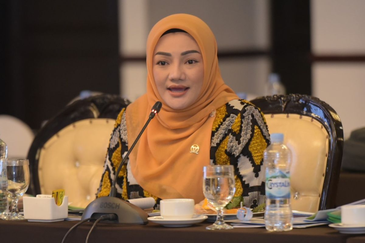 MP: Evaluation Needed for Implementation of Sexual Violence Crimes Law