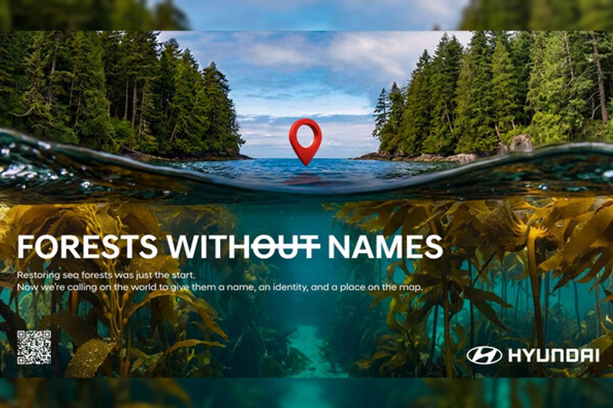 Forests Without Names: Hyundai Motor Illuminates the World's Hidden Sea Forests