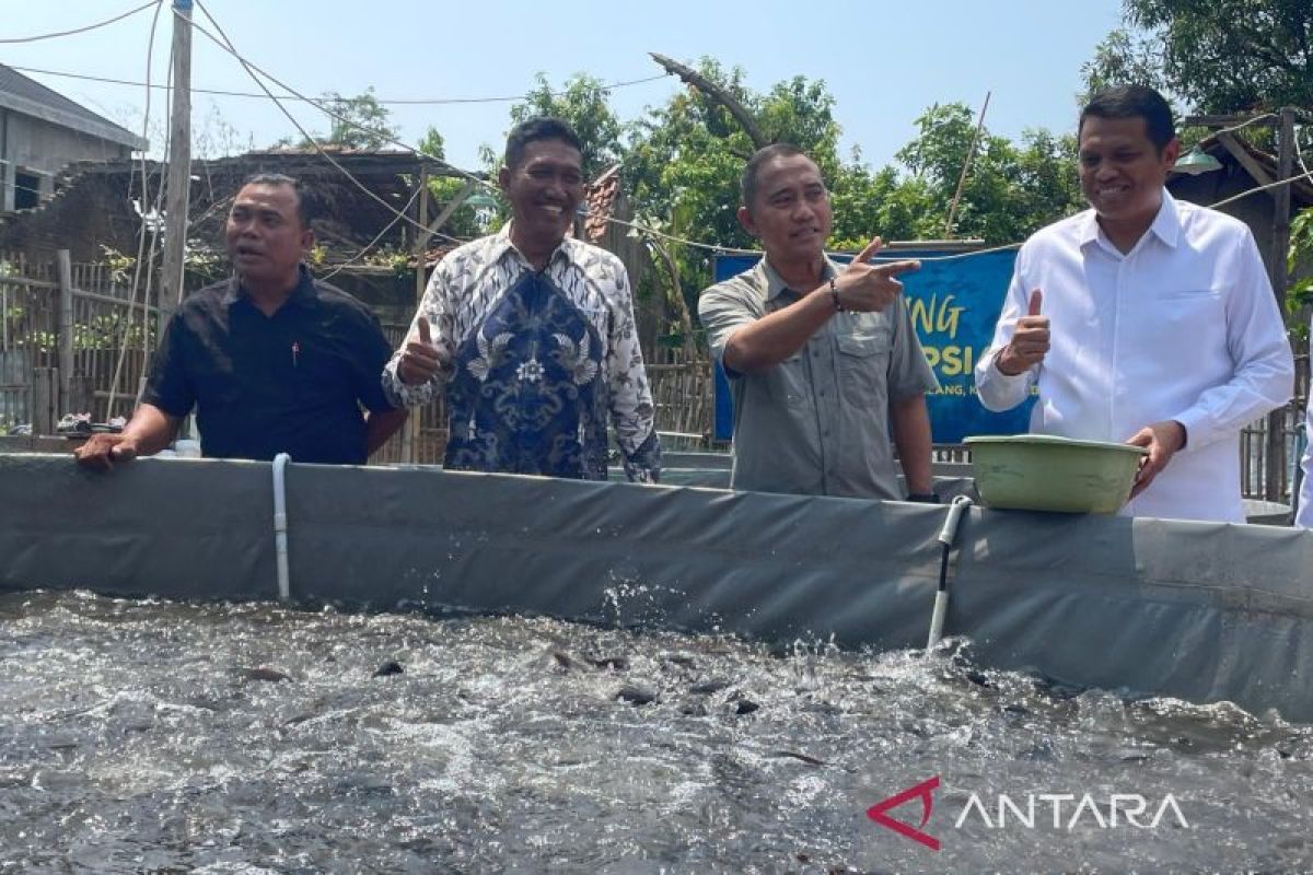 BNPT Facilitates Catfish Supply to Cirebon MBG Kitchen from Siapsiaga Village Programme